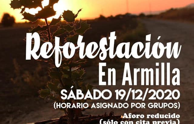 reforestación