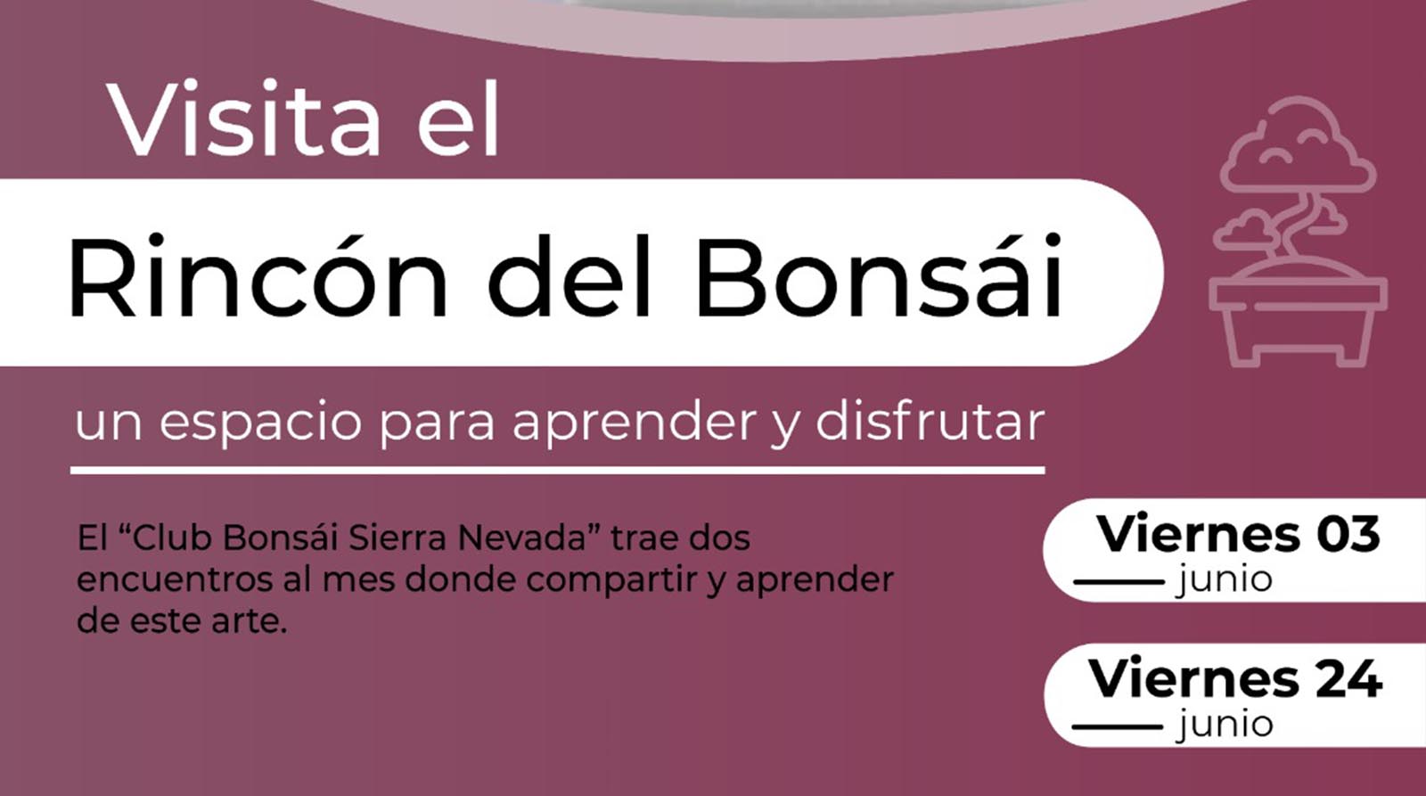 Banner Visita El Rincón Del Bonsái
