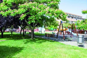 Parque colegio san miguel 2