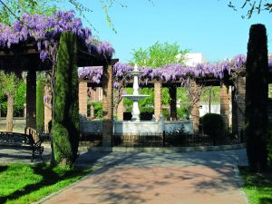 Parque juan carlos 4