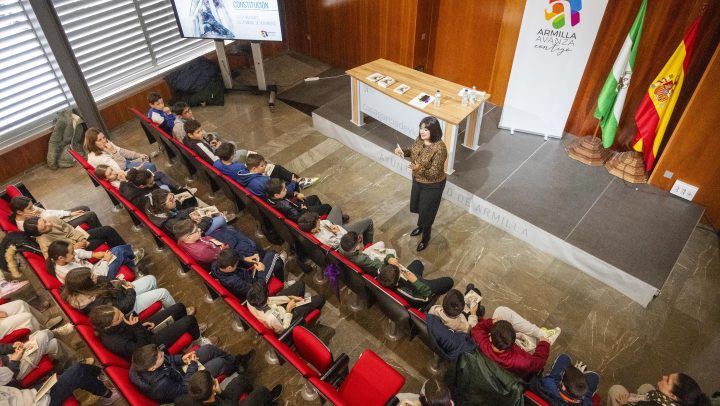 Día Constitución escolares