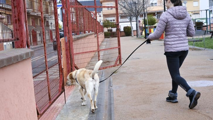 Perro parque Armilla