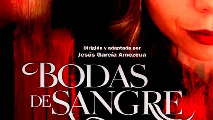 Bodas redes