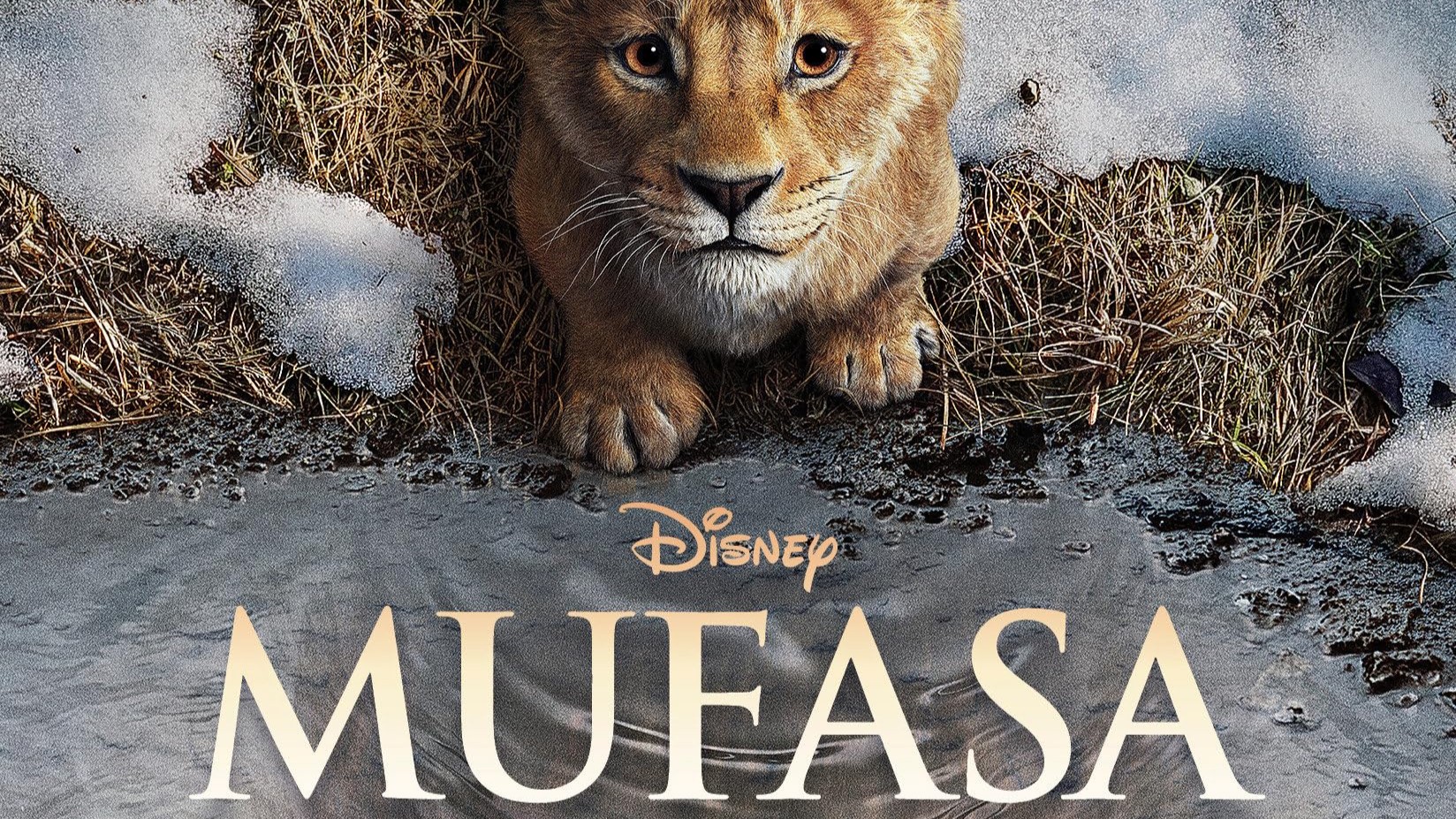 MUFASA
